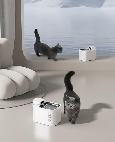 Filtres pour fontaine EVERSWEET MAX