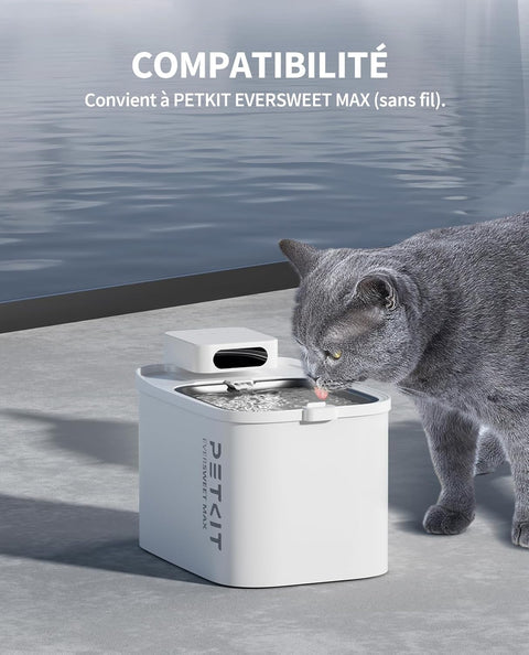 Filtres pour fontaine EVERSWEET MAX