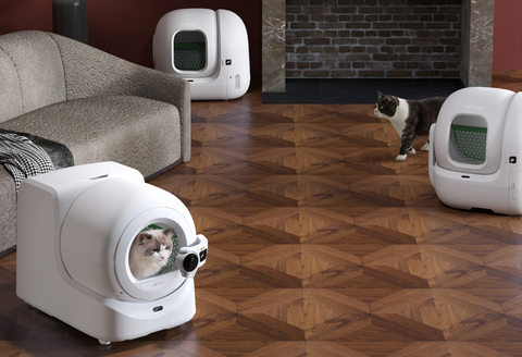 💡Conseils pour aider votre chat à passer au bac à litière automatique PETKIT