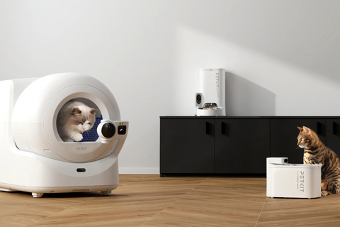 Une seule marque pour tous les accessoires de votre animal : bonne ou mauvaise idée ?