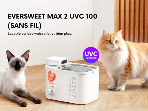 Découvrez la nouvelle EVERSWEET MAX 2 UVC 100 : la fontaine à eau pour animaux de compagnie offrant une hygiène maximale et un minimum d'efforts