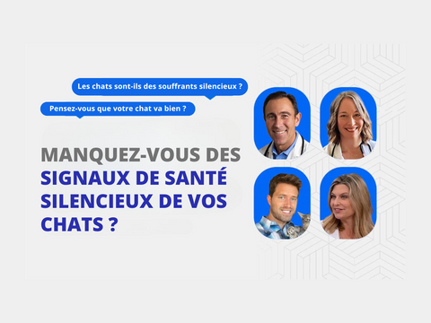 Litières automatiques pour chat : que pensent vraiment les vétérinaires ?🐈