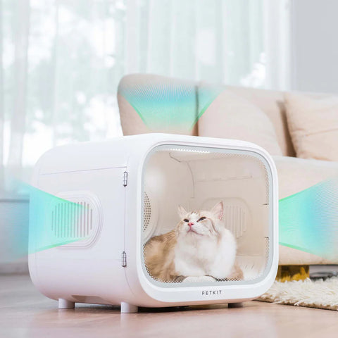 Découvrez la cabine de séchage automatique Airsalon PETKIT pour animaux