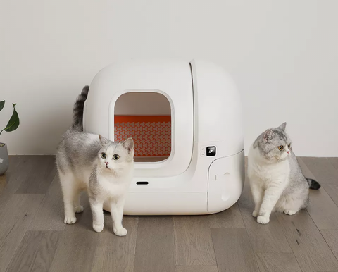 Tout ce que vous devez savoir sur la litière connectée PETKIT PURAMAX