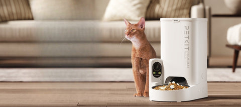 Prenez soin de votre animal, même à distance