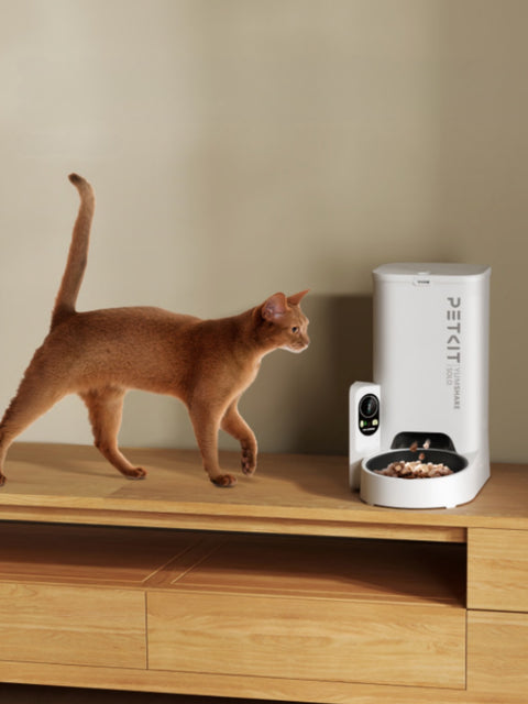 Prenez soin de votre animal, même à distance