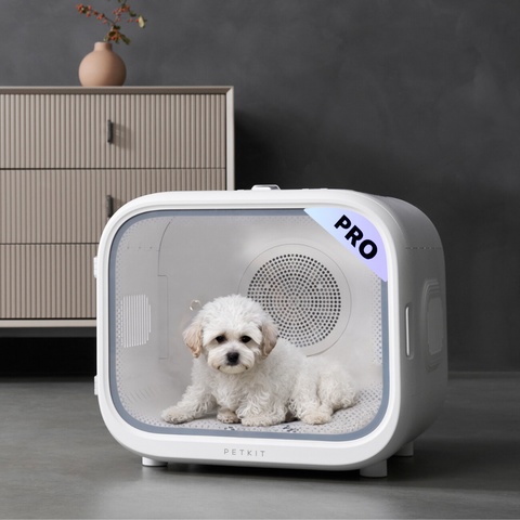 Airsalon MAX PRO séchoir automatique pour chiens, chats, 60L